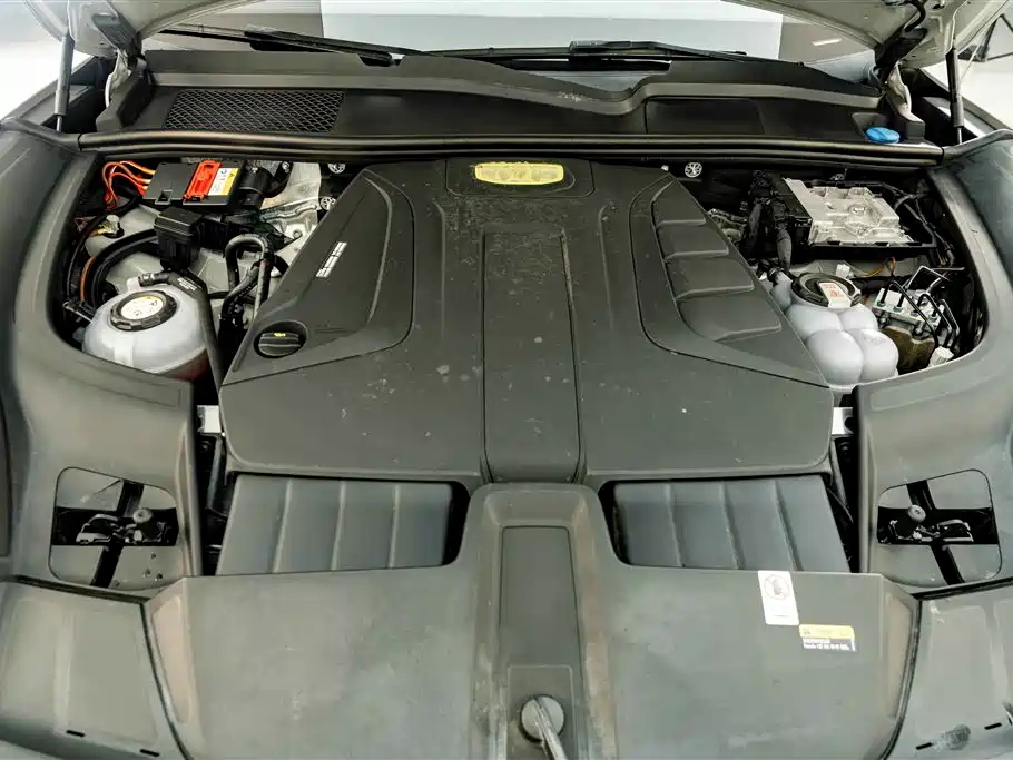 Porsche Cayenne New Energy 2023 2023 Cayenne E-Hybrid 2.0T Platinum Edition