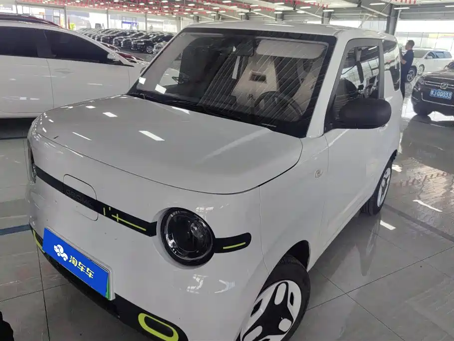 Geely Galaxy Panda 2025 Panda mini 210km Vitality Bear