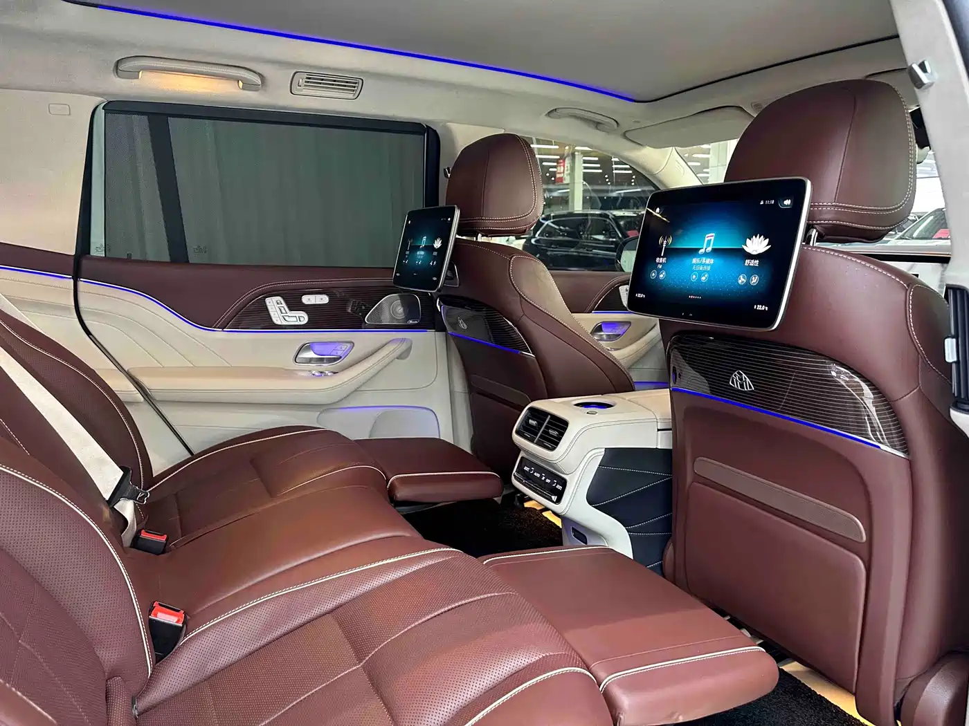 Mercedes-Benz Maybach GLS 2022 GLS 480 4MATIC фото 10
