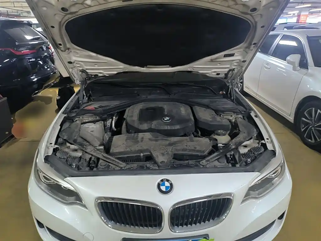 BMW 2 Series (Import) 2015 218i Convertible Coupe фото 20