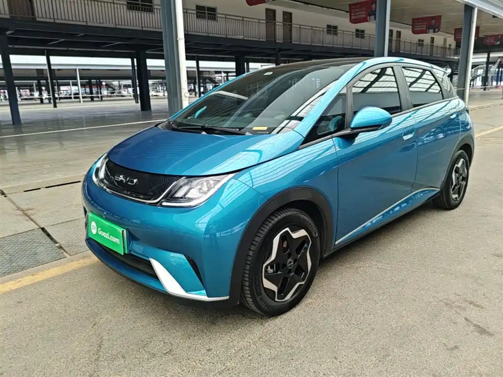 BYD Dolphin 2021 Model 405km Fashion Edition фото 2