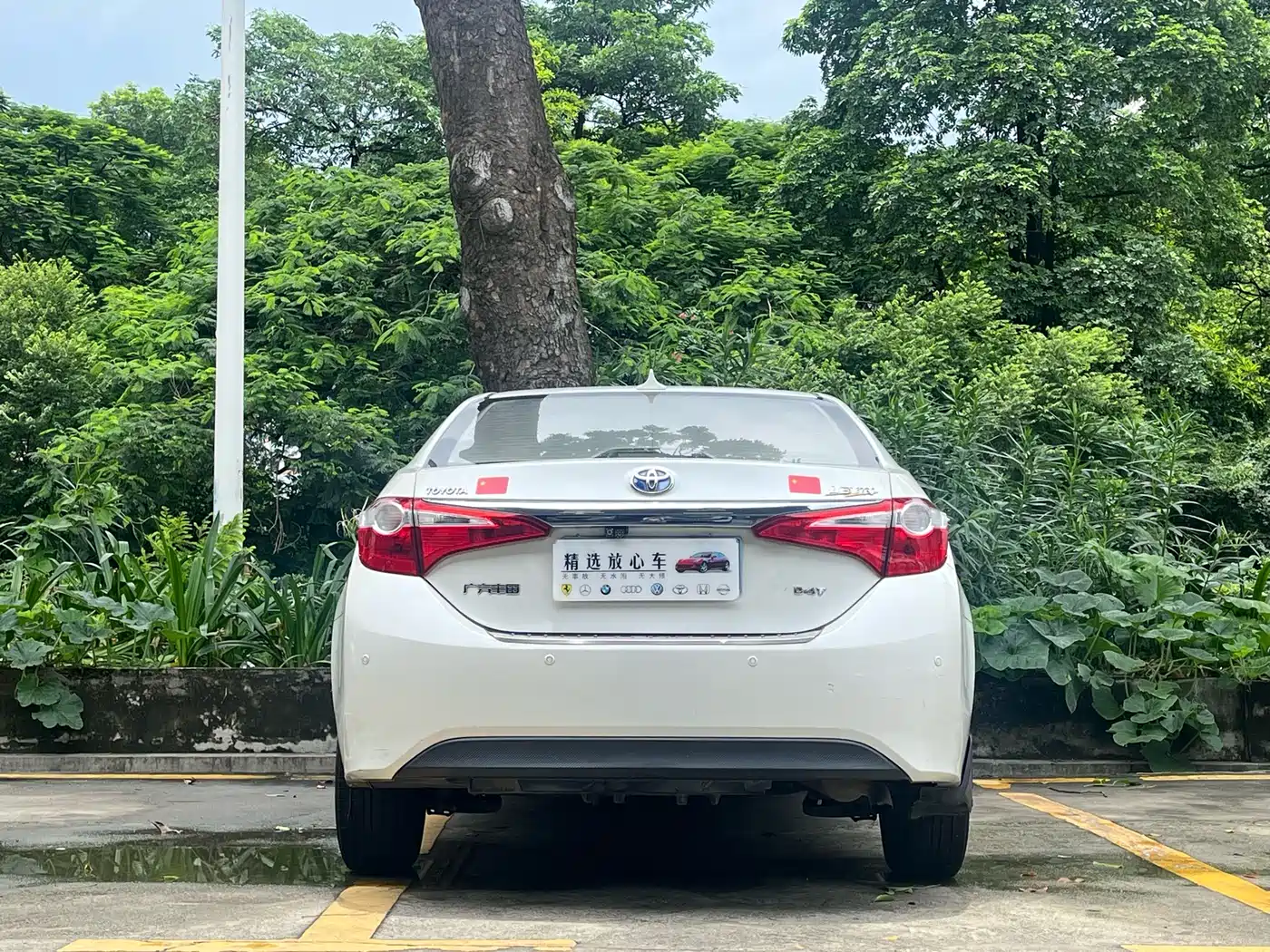 Фото 5 - Toyota Levin