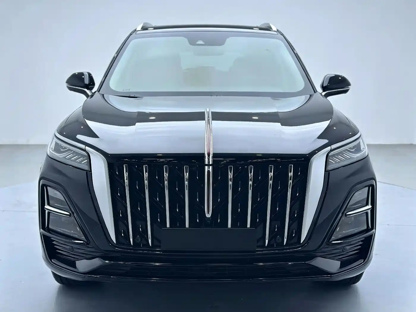 Hongqi HS5 2023 2.0T Flag Enjoy Pro Edition фото 13