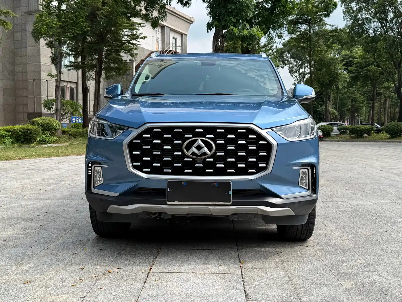 2018 Maxus D90