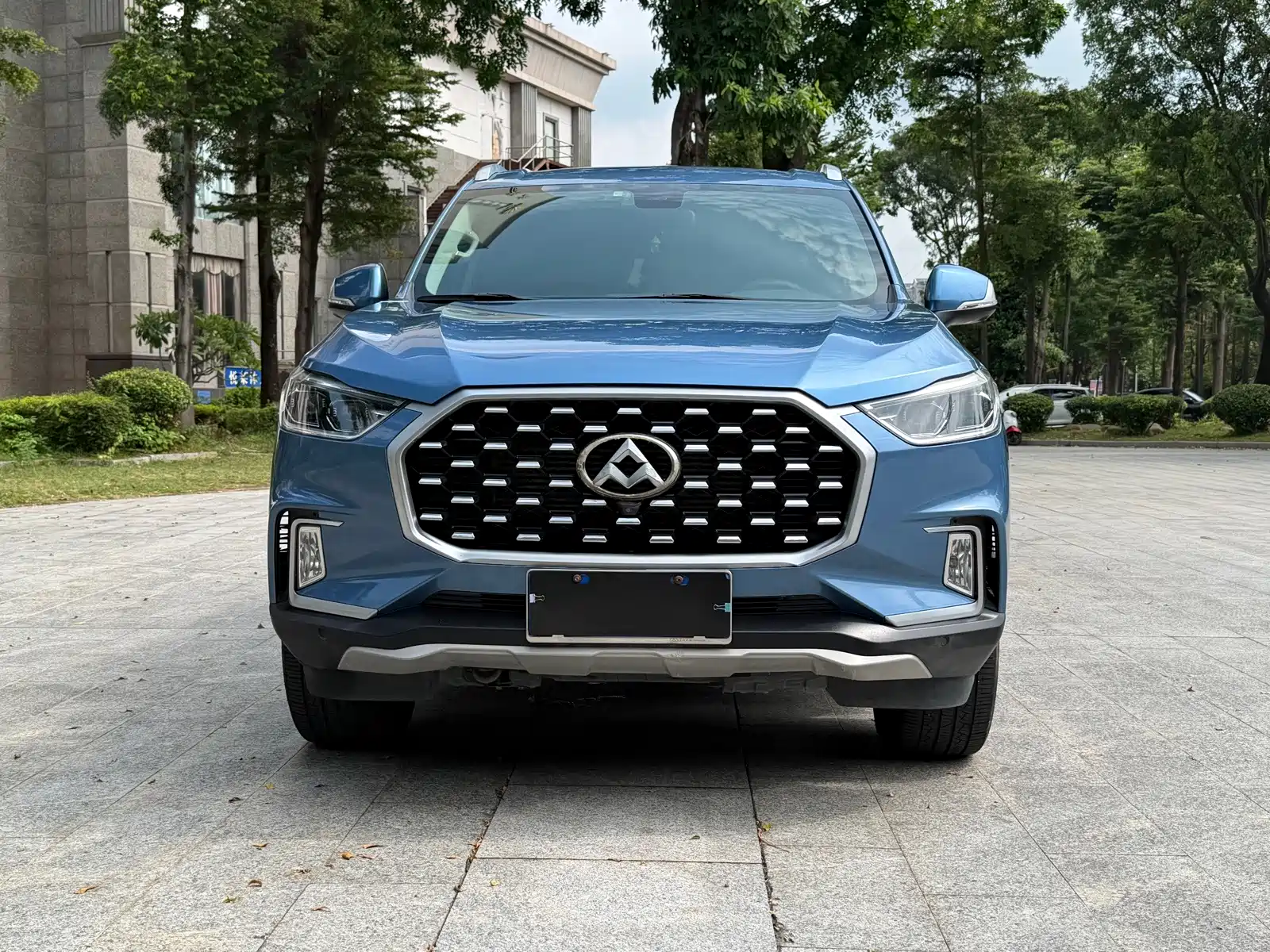 Фото 2 - Maxus D90