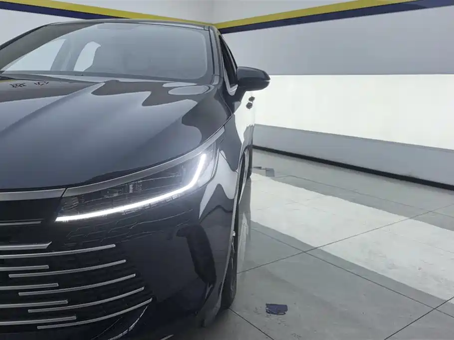 BYD Destroyer 05 2024 Glory Edition DM-i 55KM Luxury фото 5