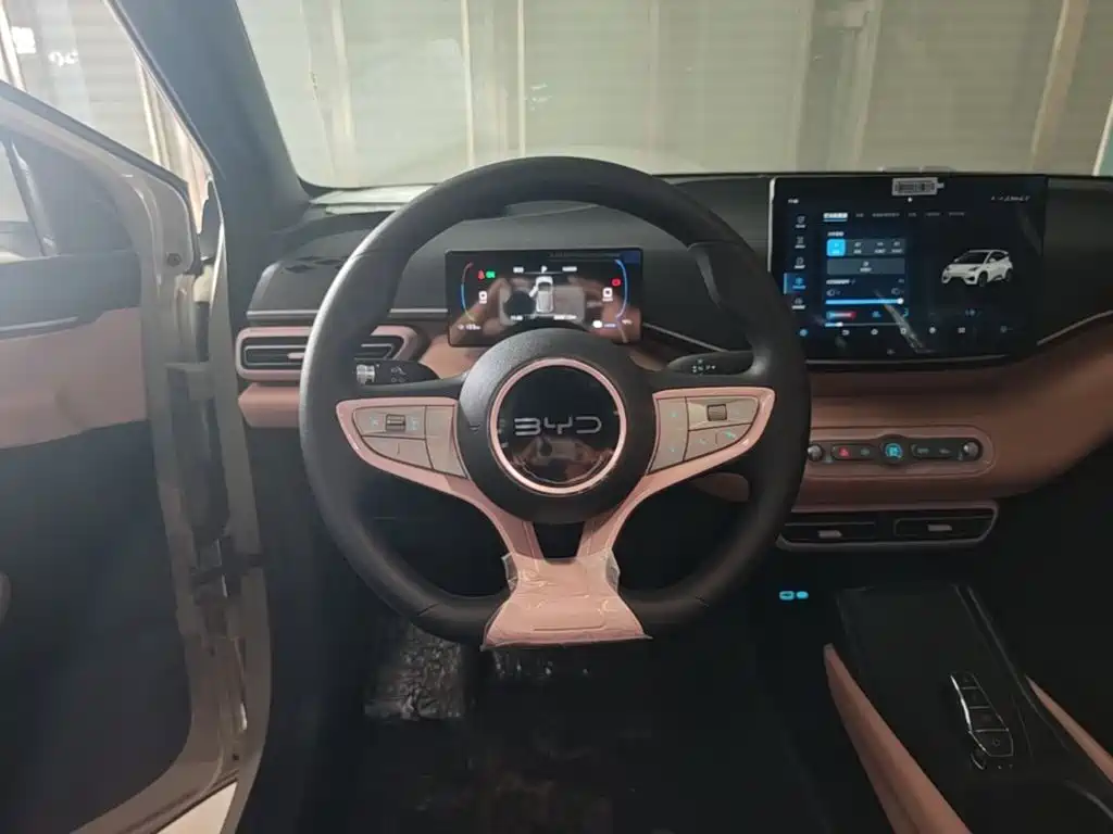 BYD Seagull 2026 2025 Smart Drive Edition 305km Vitality Version