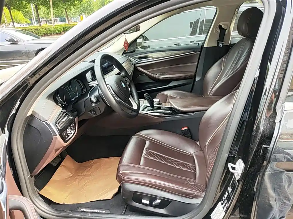 BMW 5 Series 2018 Facelift 530Li xDrive Luxury Package фото 14