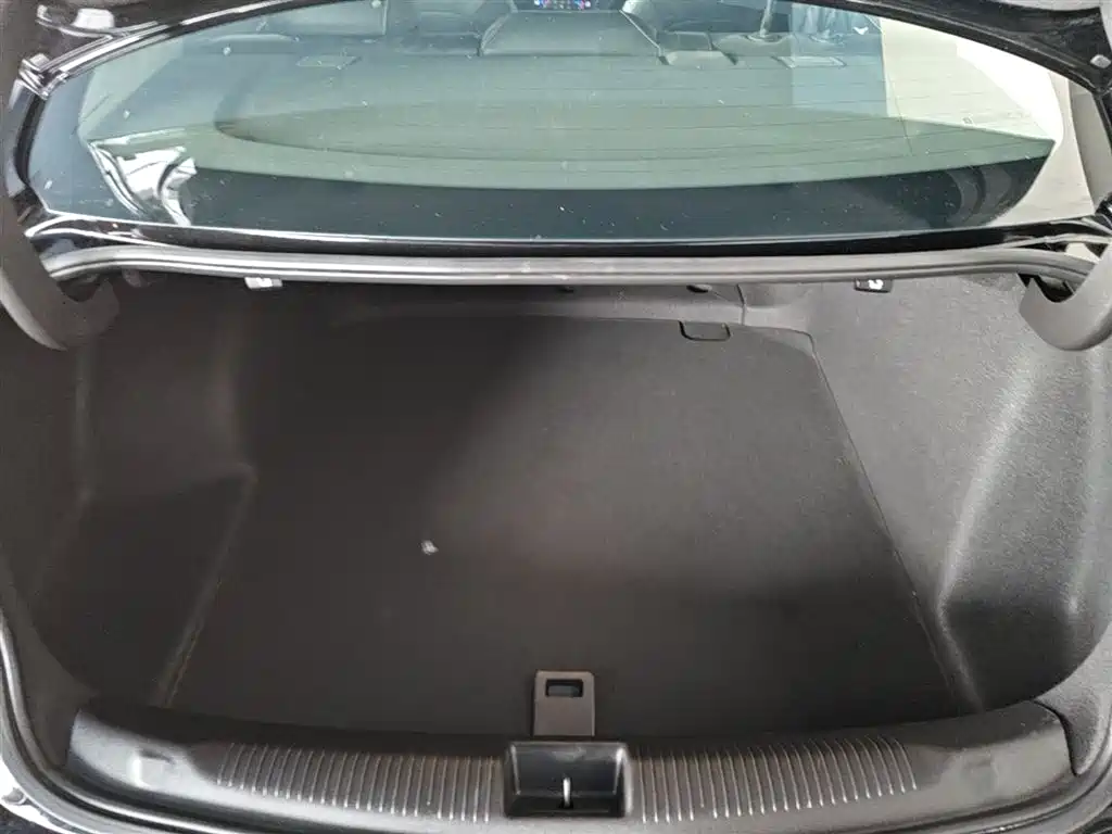 Buick Regal 2024 25T Ultra Comfort Edition фото 19