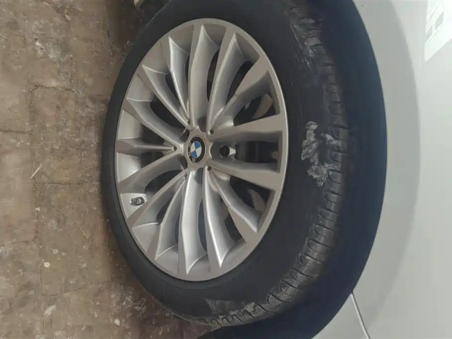 BMW 5 Series 2020 525Li Luxury Package фото 6