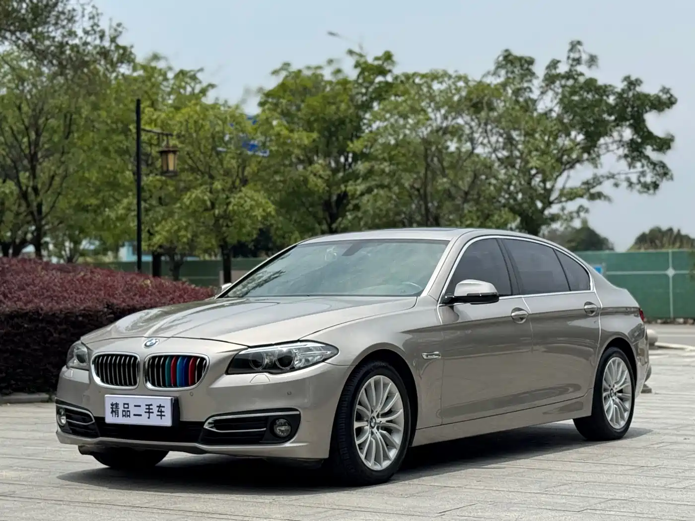 BMW 5 Series 2014 525Li Luxury Design Package фото 4