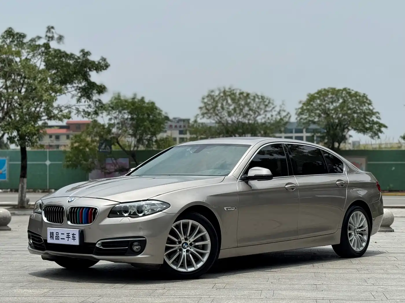 BMW 5 Series 2014 525Li Luxury Design Package
