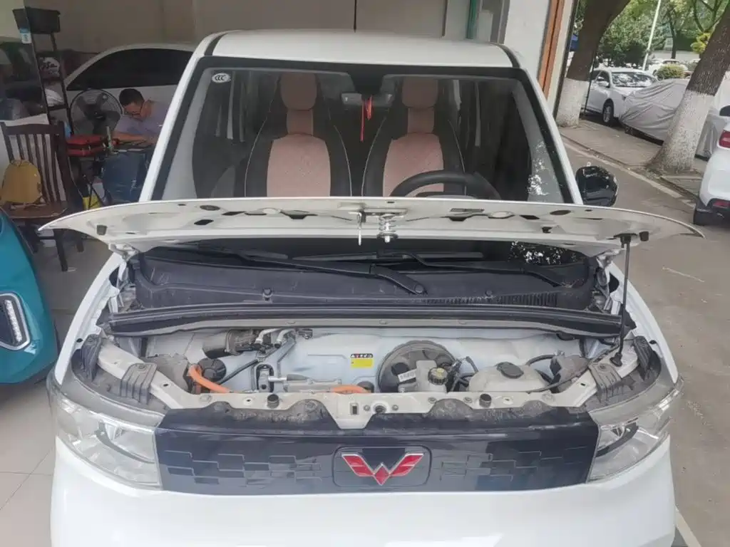 Фото 20 - Wuling Motors Hongguang MINIEV