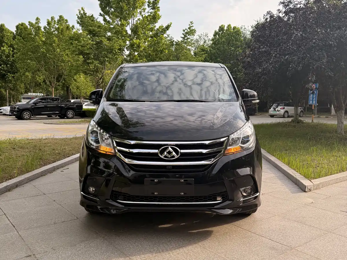 SAIC Maxus Maxus G10 2018 PLUS 2.0T Automatic Luxury Executive Edition фото 2
