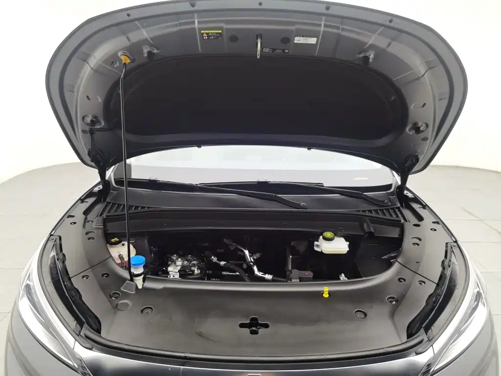 BYD Yuan PLUS 2022 2022 430KM Luxury Model