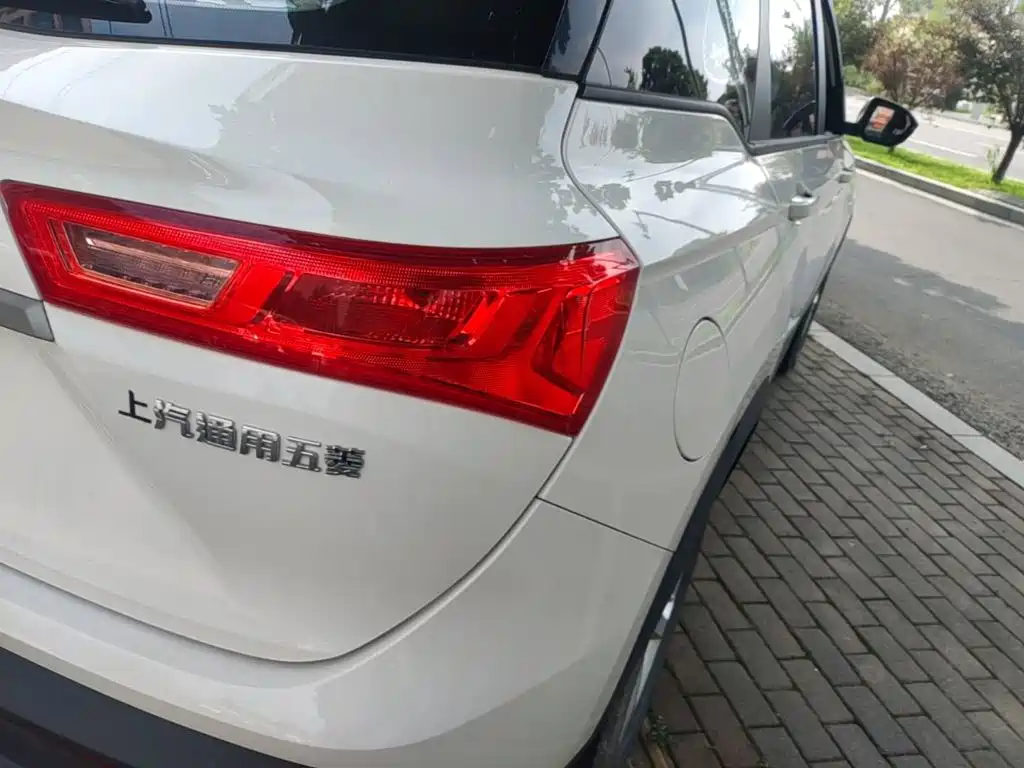Baojun 530 2019 2019 1.5T Manual Elite 7-Seater China VI