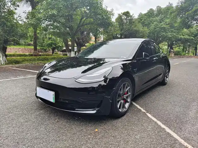 Tesla Model 3 2020 Standard Range Rear-Wheel Drive Upgrade