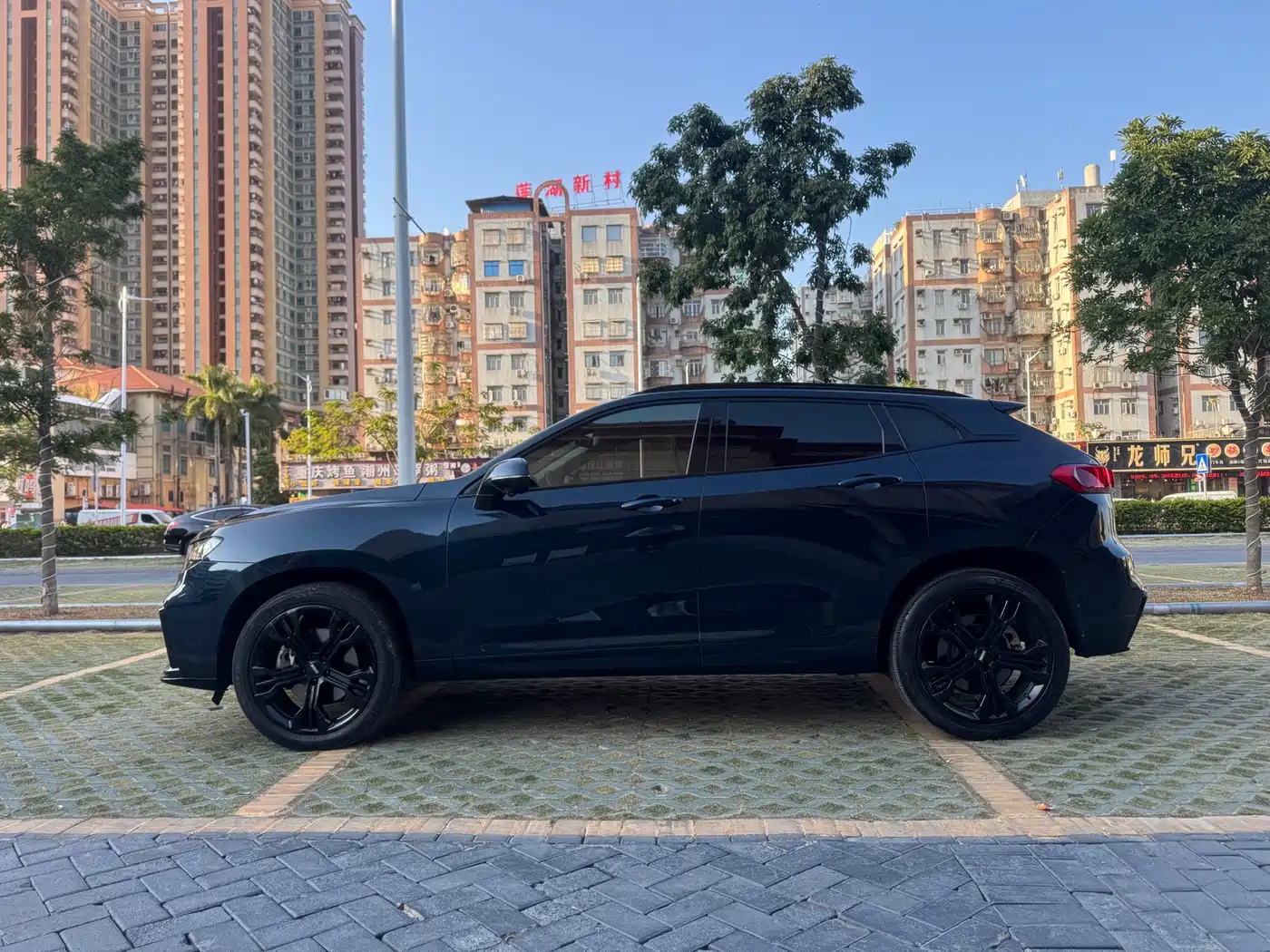 WEI PAI WEI BRAND VV7