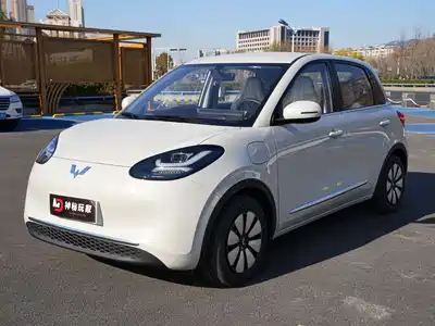Wuling Bingo