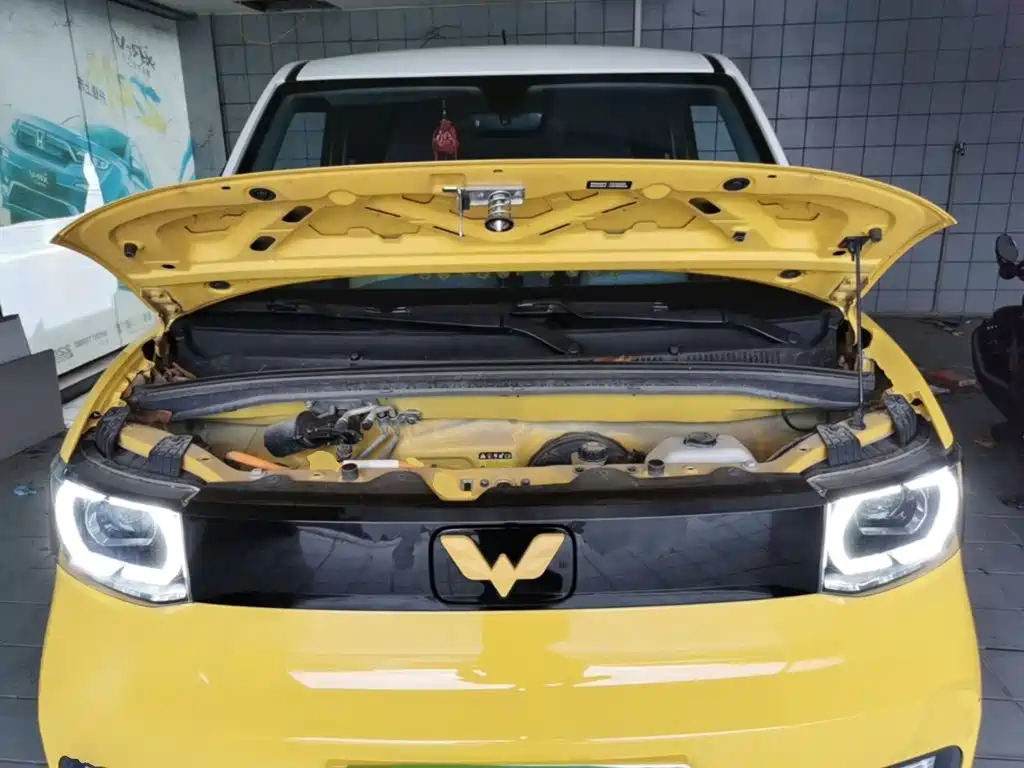 Фото 20 - Wuling Motors Hongguang MINIEV