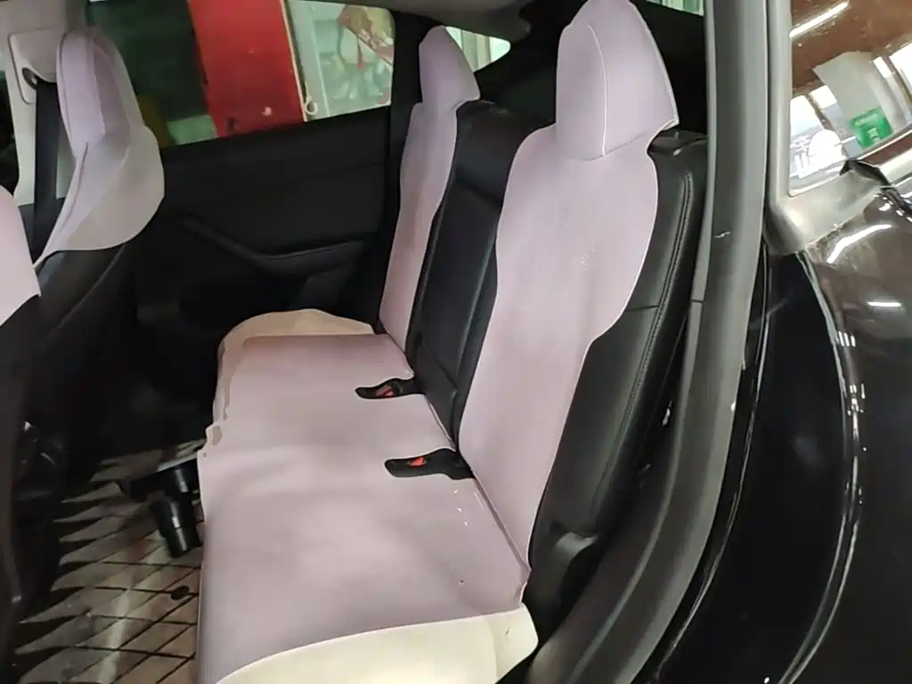 Tesla Model Y 2021 2021 Standard Range Rear-Wheel Drive