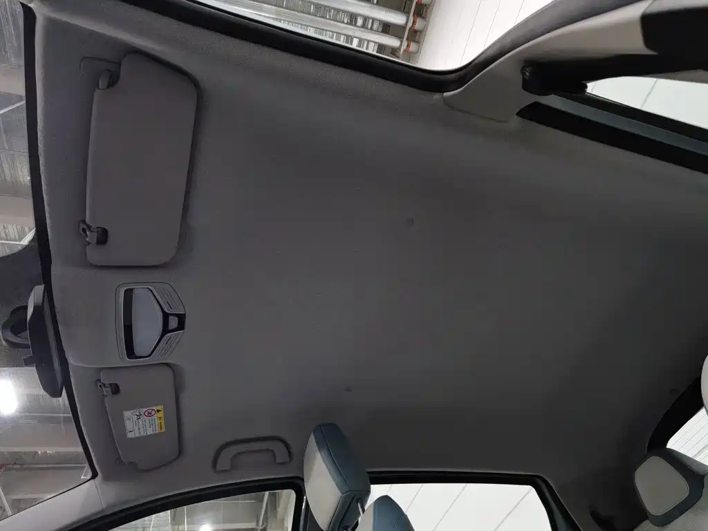 Geely Geometry E Firefly 2023 2024 Model 301km Starlight