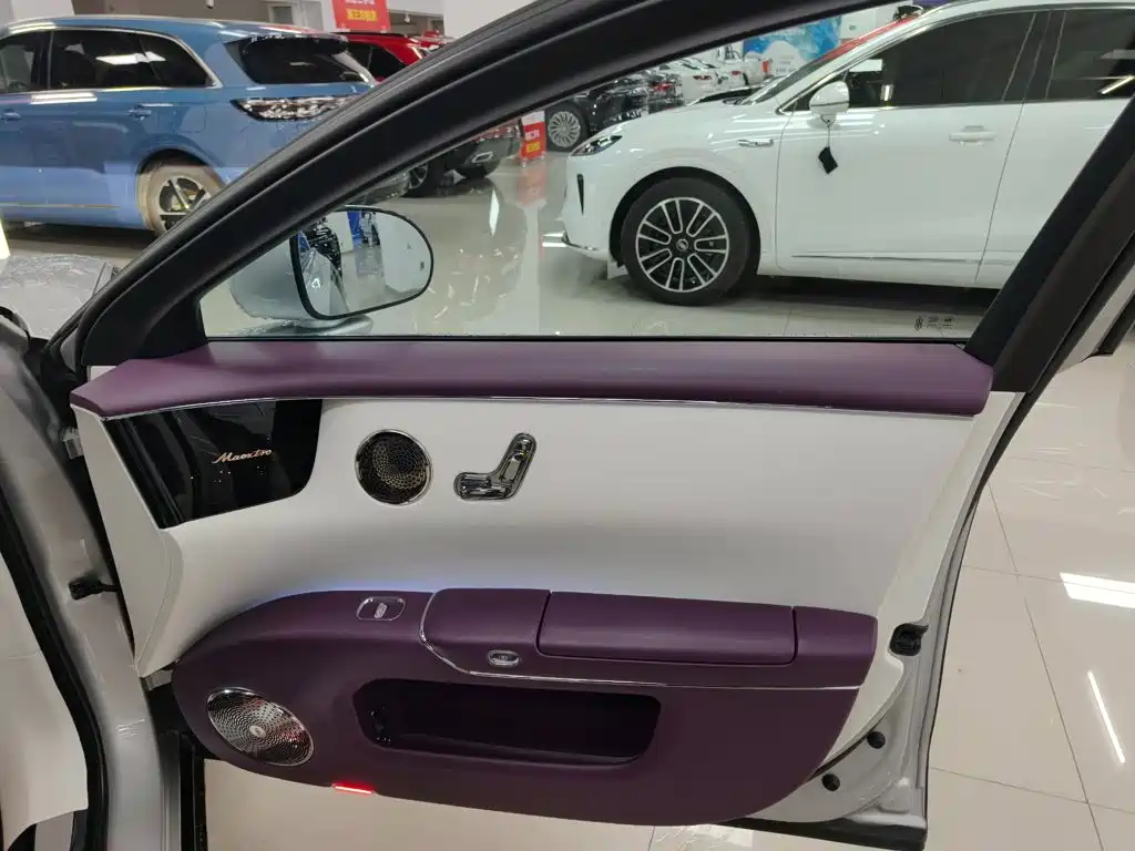 Zunjie S800 2025 2025 Model Extended Range Starlight Executive Edition 4-seater
