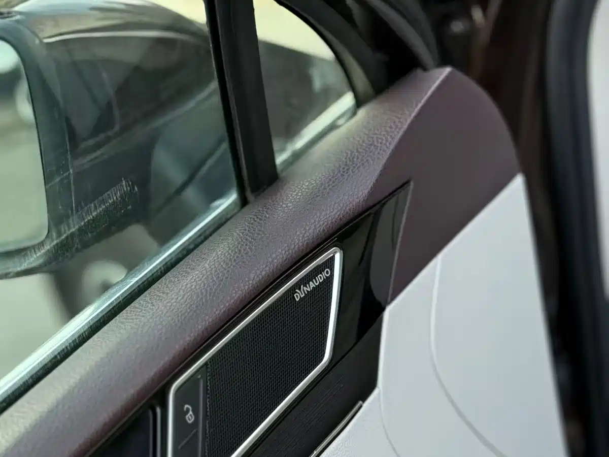 Volkswagen Magotan 2020 380TSI DSG Flagship Model фото 11