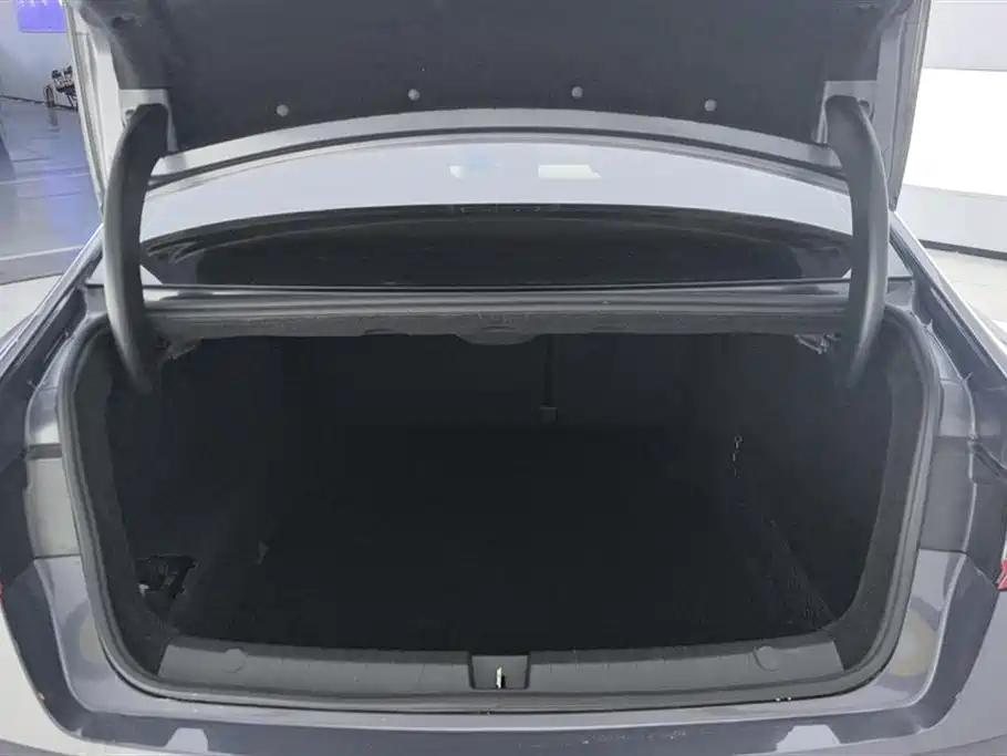 BYD Qin Pro New Energy 2019 DM Super Edition 1.5TI Automatic Smart Connect Enjoy China VI фото 4