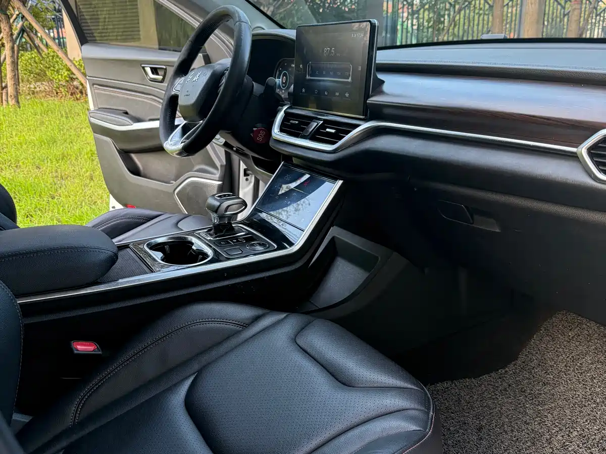 Hongqi E-HS3 2019 Smart Connection Flag Joy FWD Version фото 14