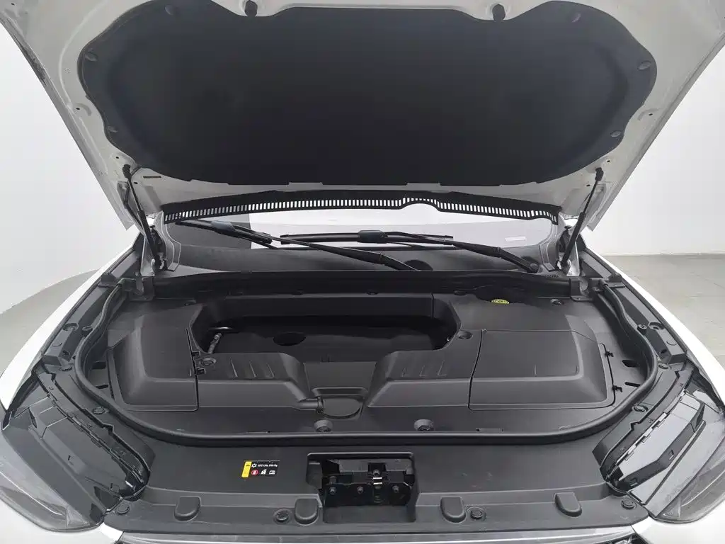 WEY VV6 2021 2021 2.0T 2WD Smart Enjoyment+