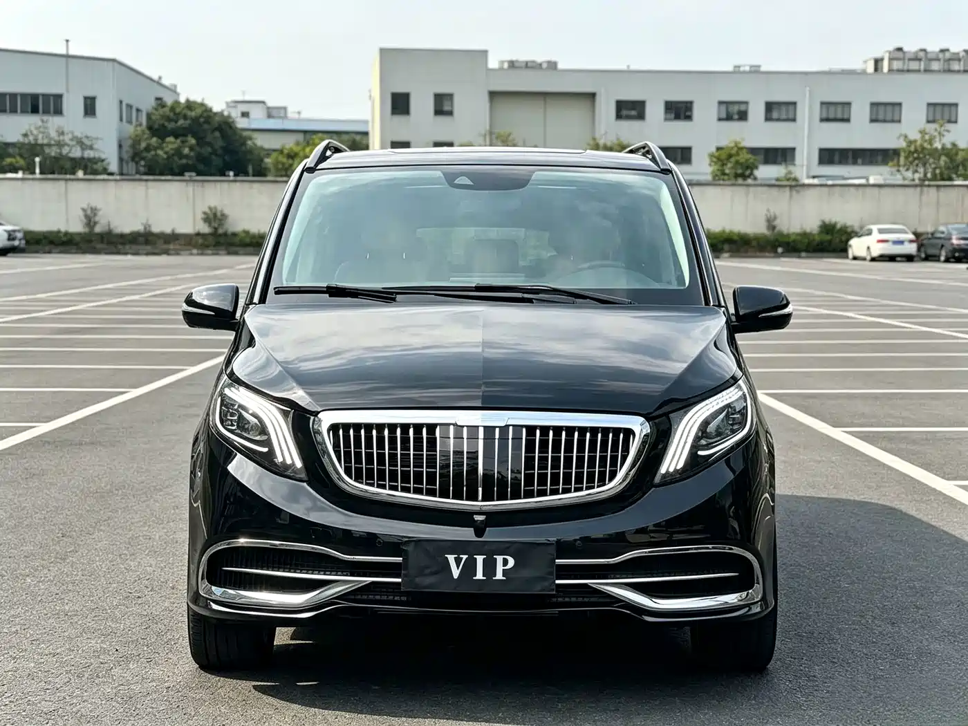 Фото 2 - Mercedes-Benz V-Class