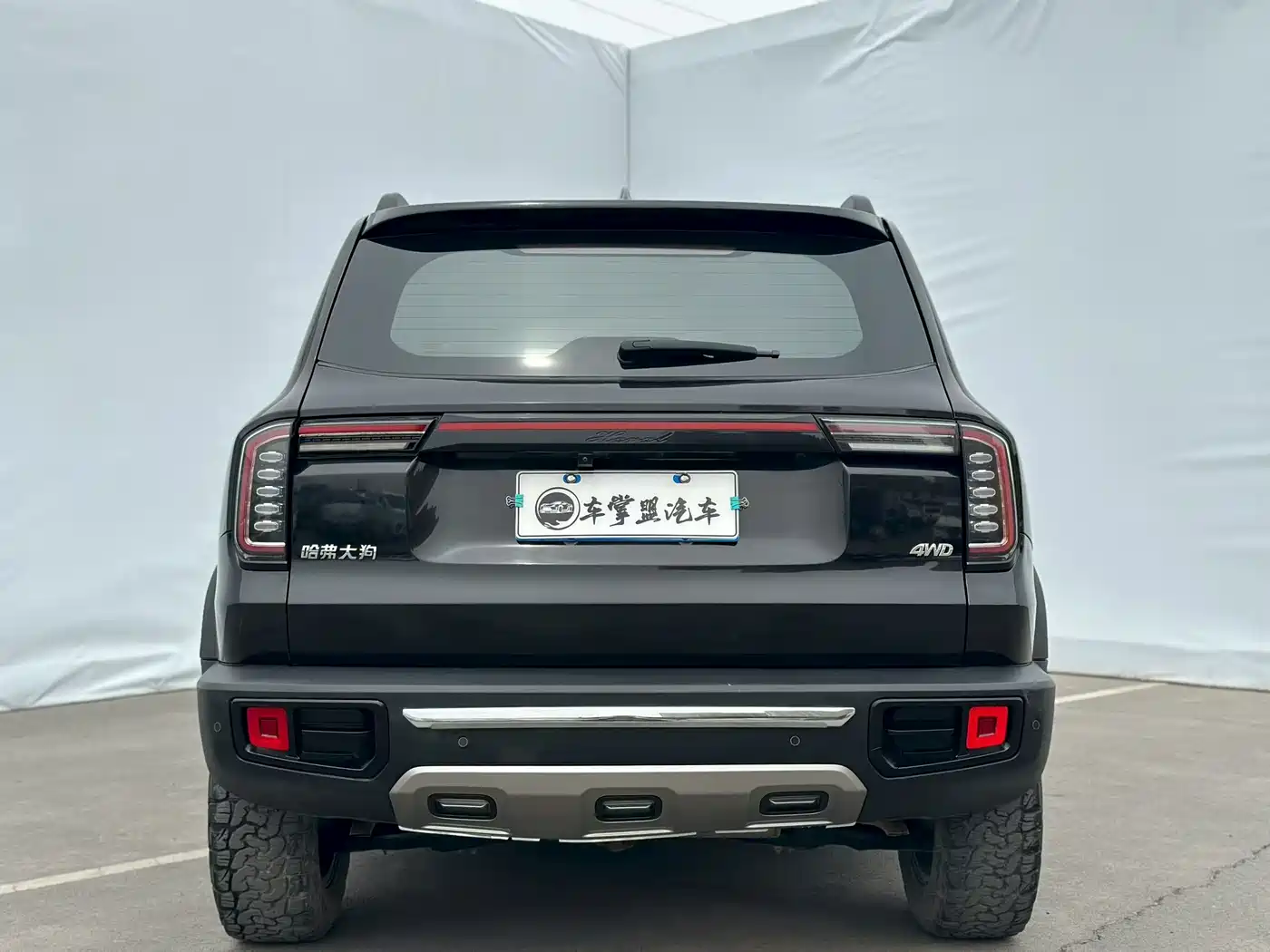 Haval Big Dog 2022 2.0T DCT AWD Chinese Pastoral Dog Edition фото 8