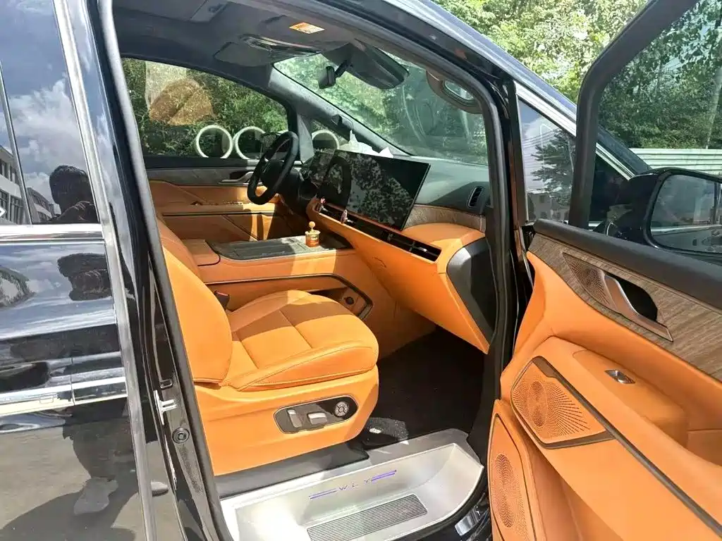 WEY Alpine 2025 2025 AWD Alpine 8