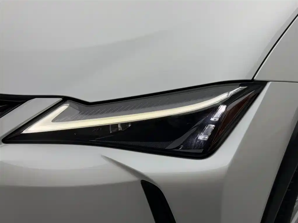 Lexus UX 2020 260h Explore Cool Edition China V фото 14