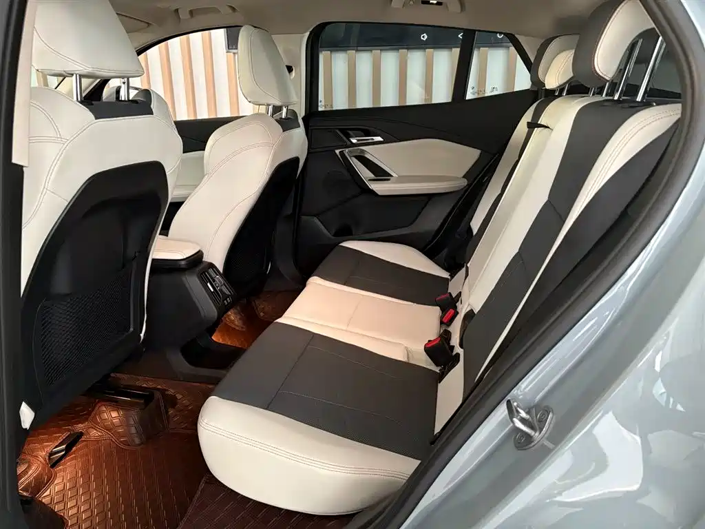 BMW X2 (Import) 2024 sDrive25i M Sport Package фото 10