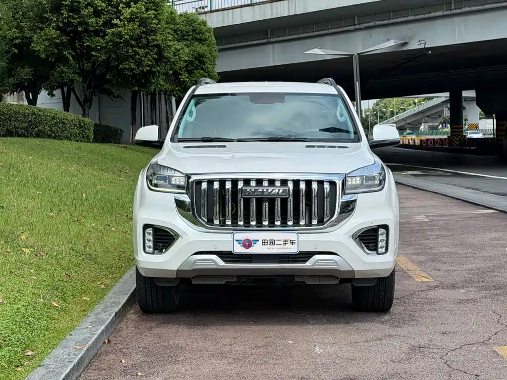 Haval H9 2023 2022 2.0T Gasoline 4WD Elite 5-Seater