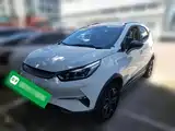 Фото 1 - BYD Yuan Pro