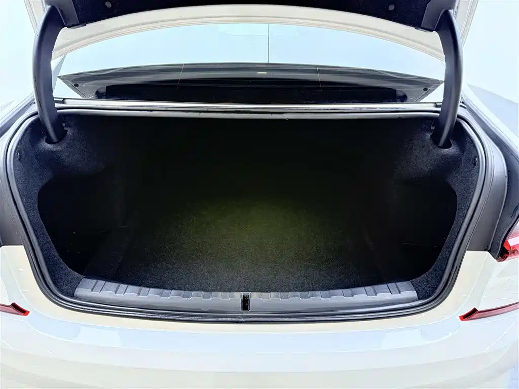BMW 3 Series 2022 325Li M Sport Shadow Edition фото 24