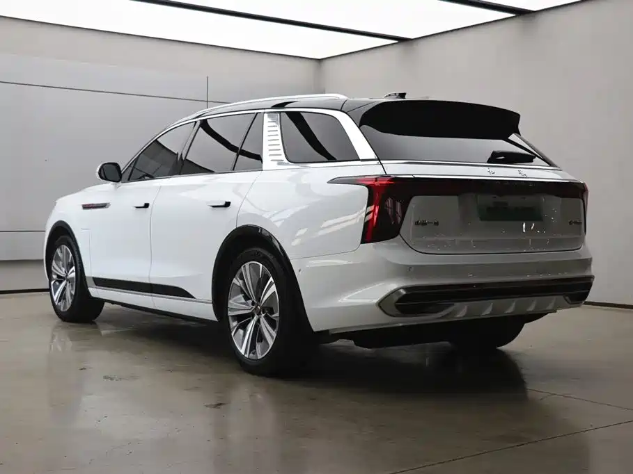 Hongqi E-HS9 2022 660km Qi Chang Edition (6-seater) фото 34