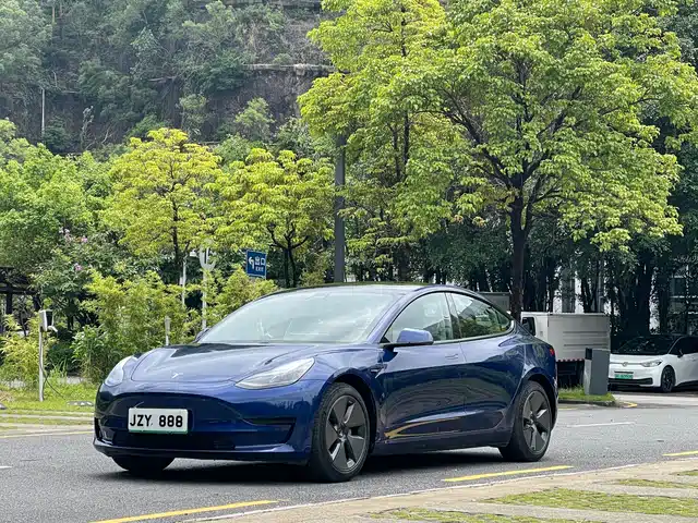 Tesla Model 3 2021