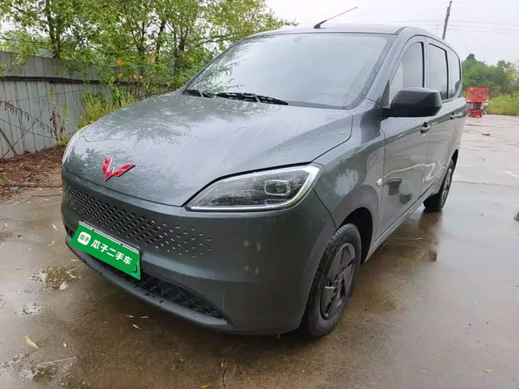 2026 Wuling Motors Wuling Hongguang New Energy
