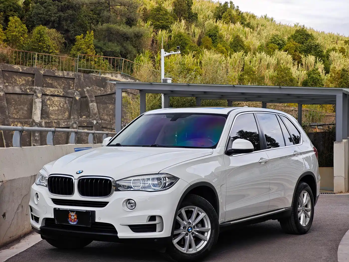 BMW X5 (Import) 2017 xDrive35i Luxury Edition