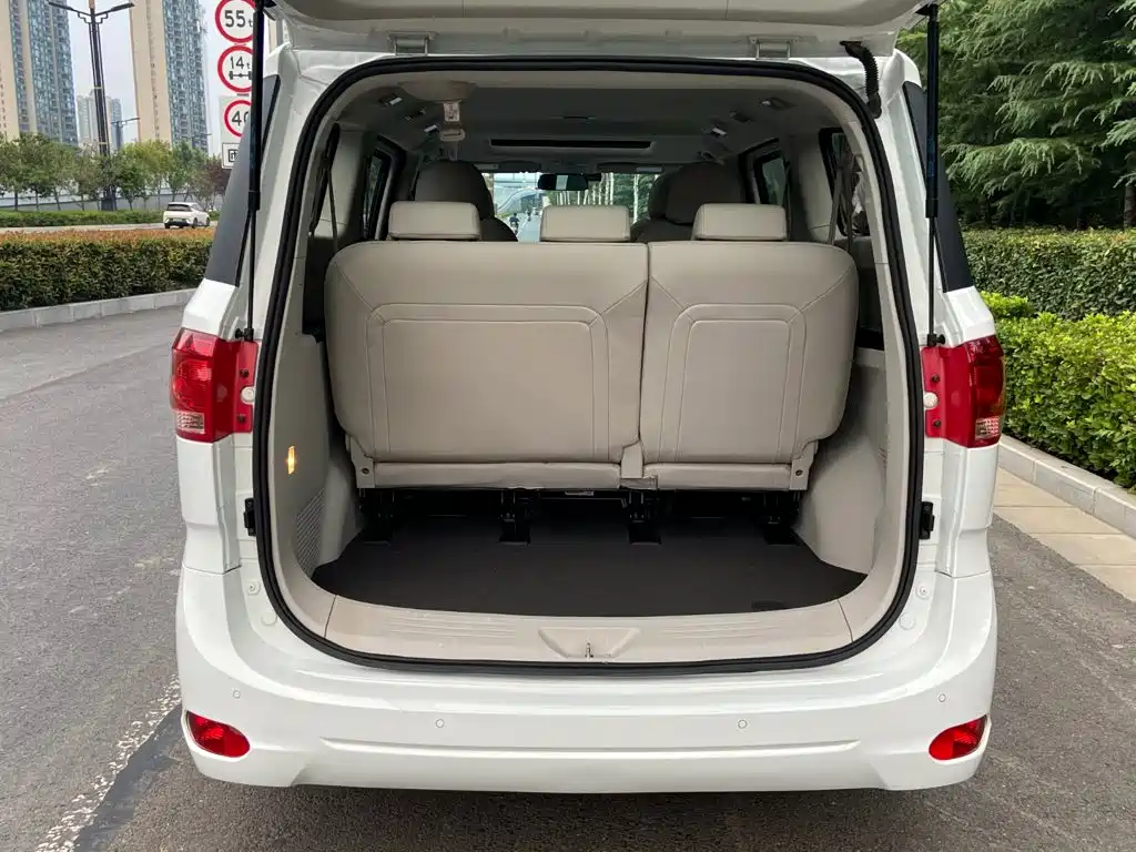 Фото 14 - SAIC Maxus Maxus G10