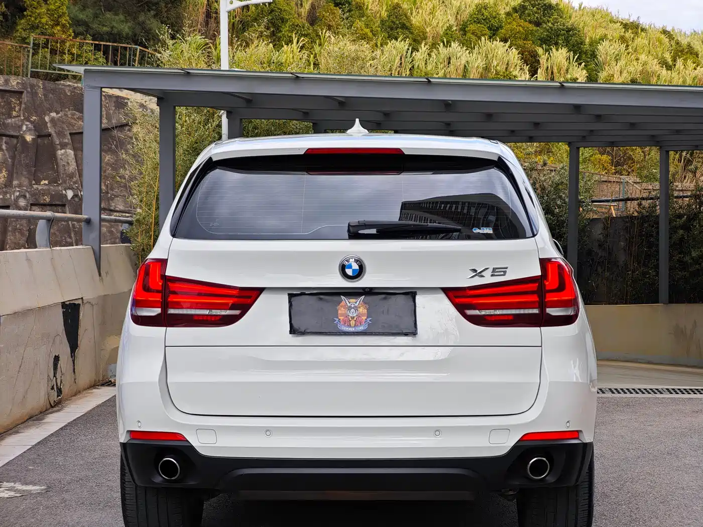 BMW X5 (Import) 2017 xDrive35i Luxury Edition фото 6
