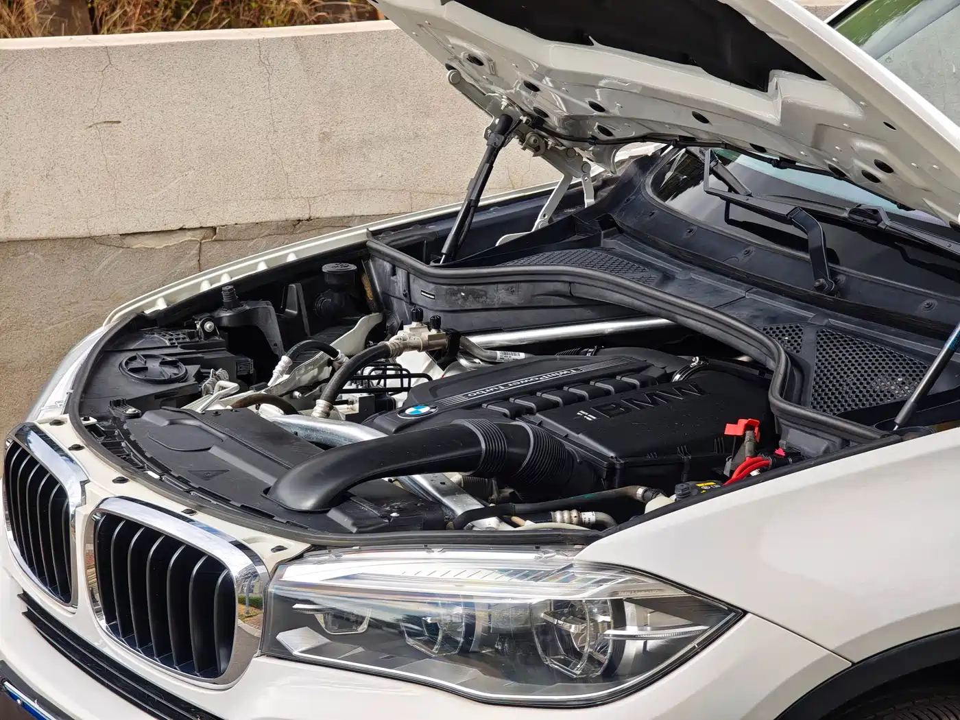 BMW X5 (Import) 2017 xDrive35i Luxury Edition фото 8
