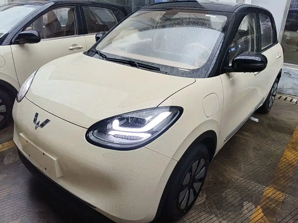Wuling Motors Wuling Bingo 2026 2025 Model 333km Joy Edition