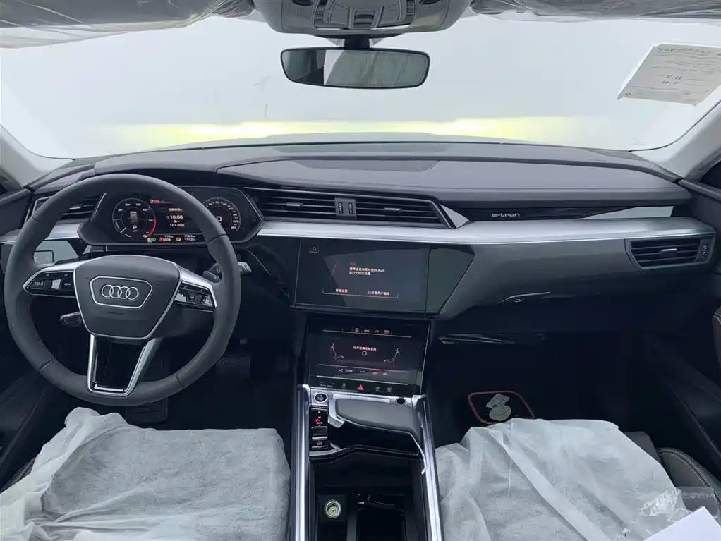 Audi e-tron 2021 50 quattro Luxury фото 16