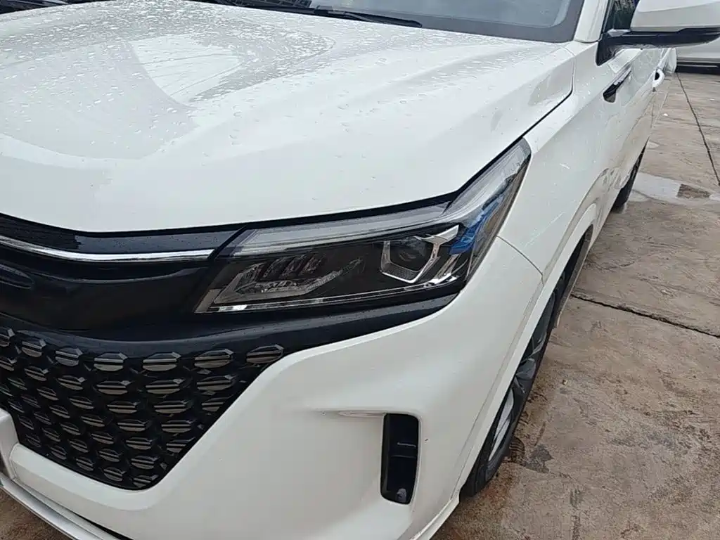 Landian E5 2024 2024 Glory Edition 100KM Premium Type 7-Seater