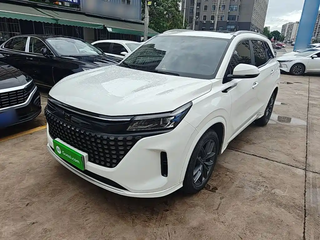 Landian E5 2024 2024 Glory Edition 100KM Premium Type 7-Seater